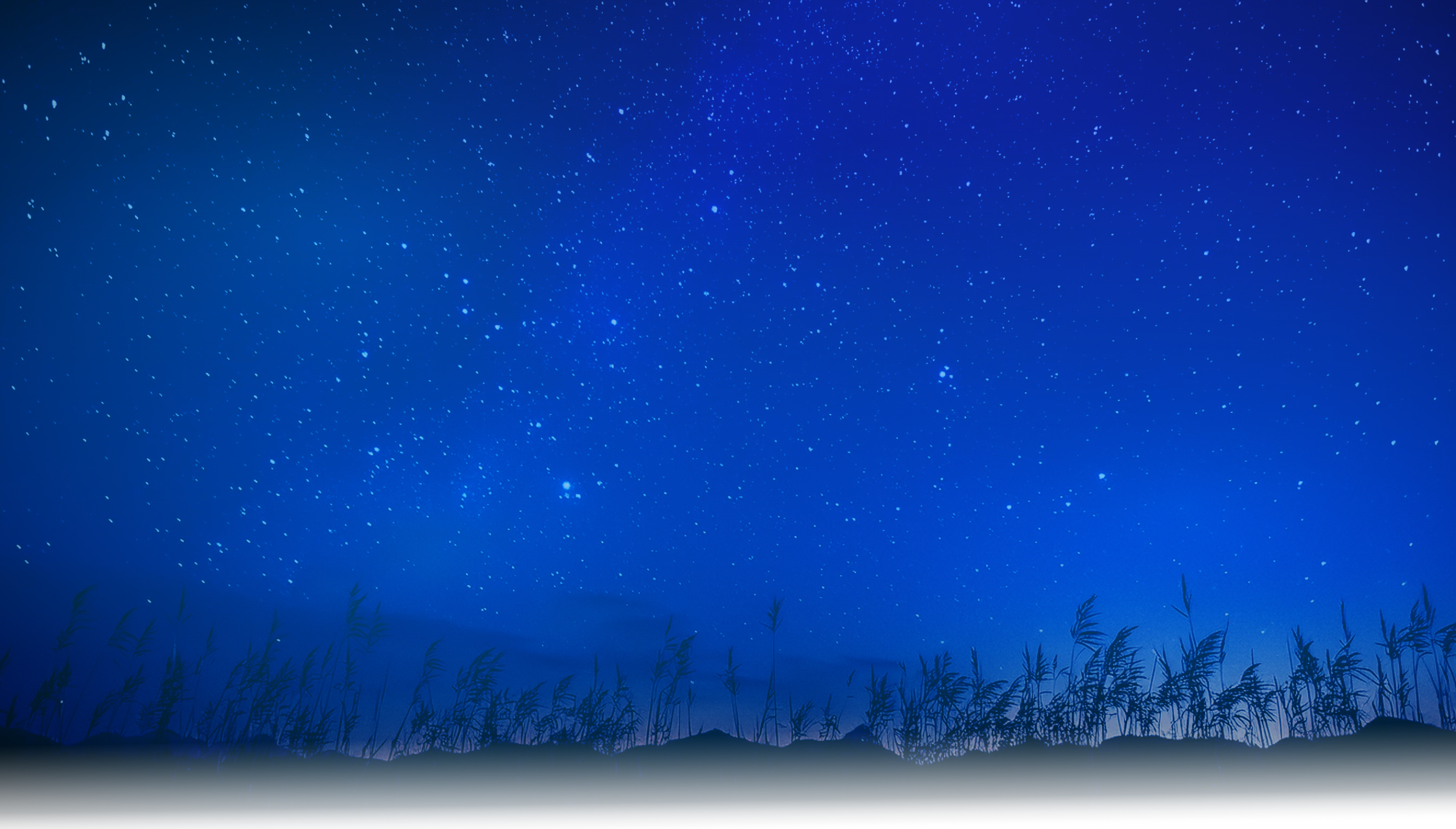 Starry night sky